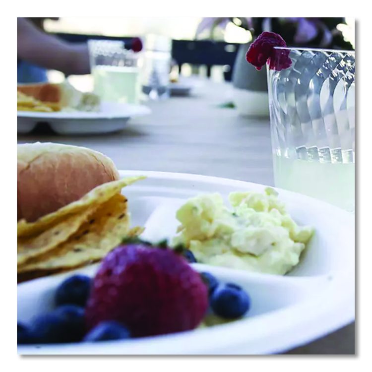 PaperPro Naturals Molded Fiber Dinnerware, Round Plates, 3-Compartment, 10.25" dia, Natural, 125/Pack, 4 Packs/Carton