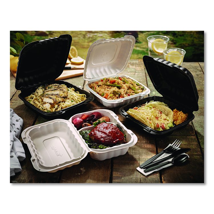 EarthChoice SmartLock Microwavable MFPP Hinged Lid Container, 9 x 9 x 3.1, White, Plastic, 120/Carton