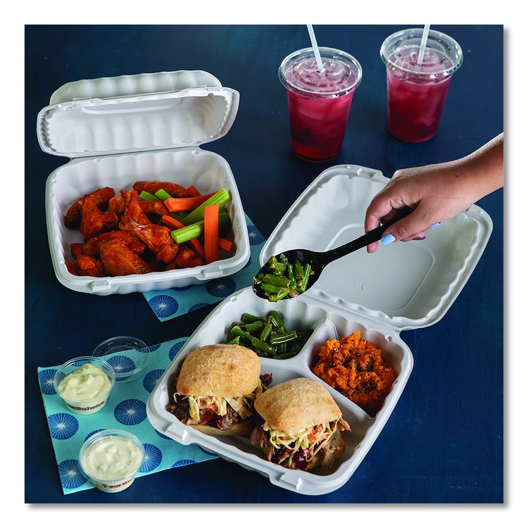 EarthChoice SmartLock Microwavable MFPP Hinged Lid Container, 9 x 9 x 3.1, White, Plastic, 120/Carton
