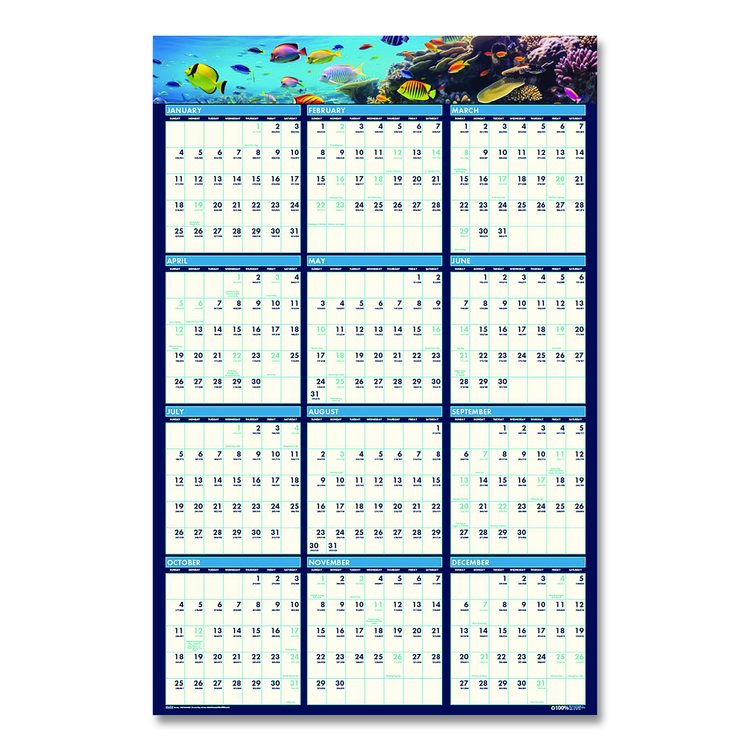 Earthscapes Recycled Reversible/Erasable Yearly Wall Calendar, Sea Life Photos, 24 x 37, White Sheets, 12-Month(Jan-Dec):2026
