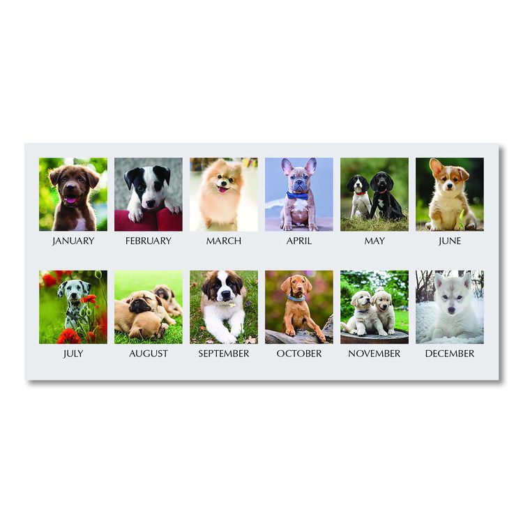 Earthscapes Recycled Desk Tent Monthly Calendar, Puppies Photography, 8.5 x 4.5, White Sheets, 12-Month (Jan to Dec): 2026