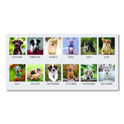 Earthscapes Recycled Desk Tent Monthly Calendar, Puppies Photography, 8.5 x 4.5, White Sheets, 12-Month (Jan to Dec): 2026