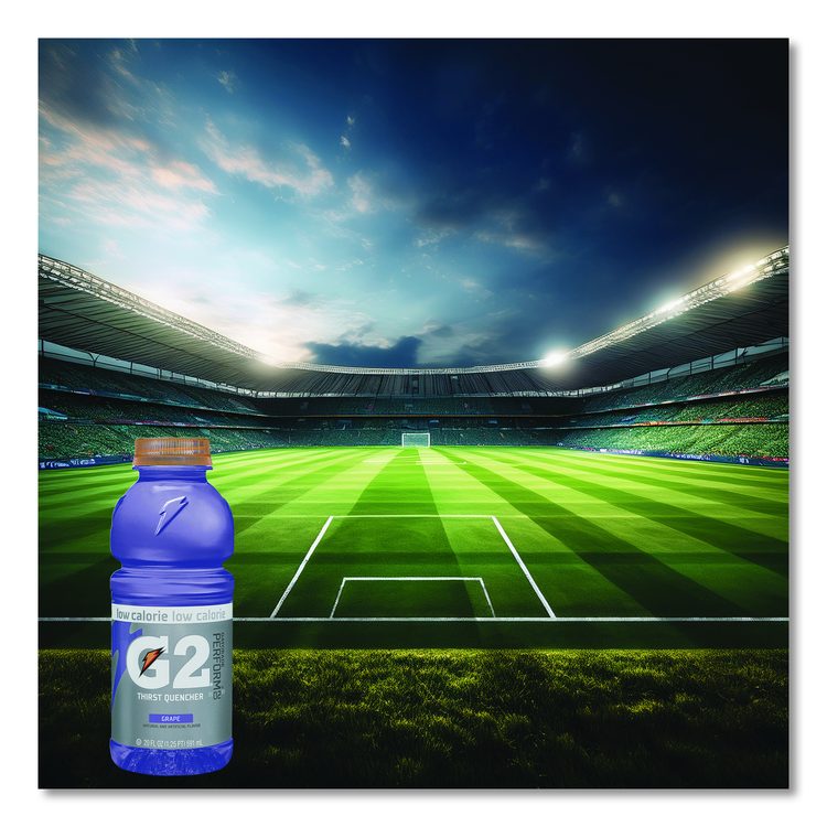 G2 Perform 02 Low-Calorie Thirst Quencher, Grape, 20 oz Bottle, 24/Carton