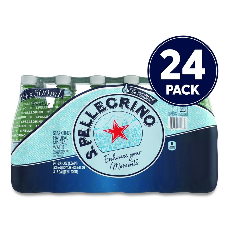 Sparkling Water Bottles, Unflavored, 16.9 oz Bottle, 24/Carton