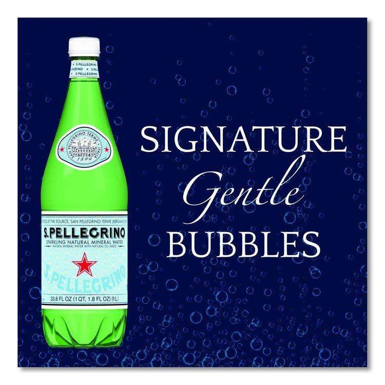 Sparkling Water Bottles, Unflavored, 16.9 oz Bottle, 24/Carton