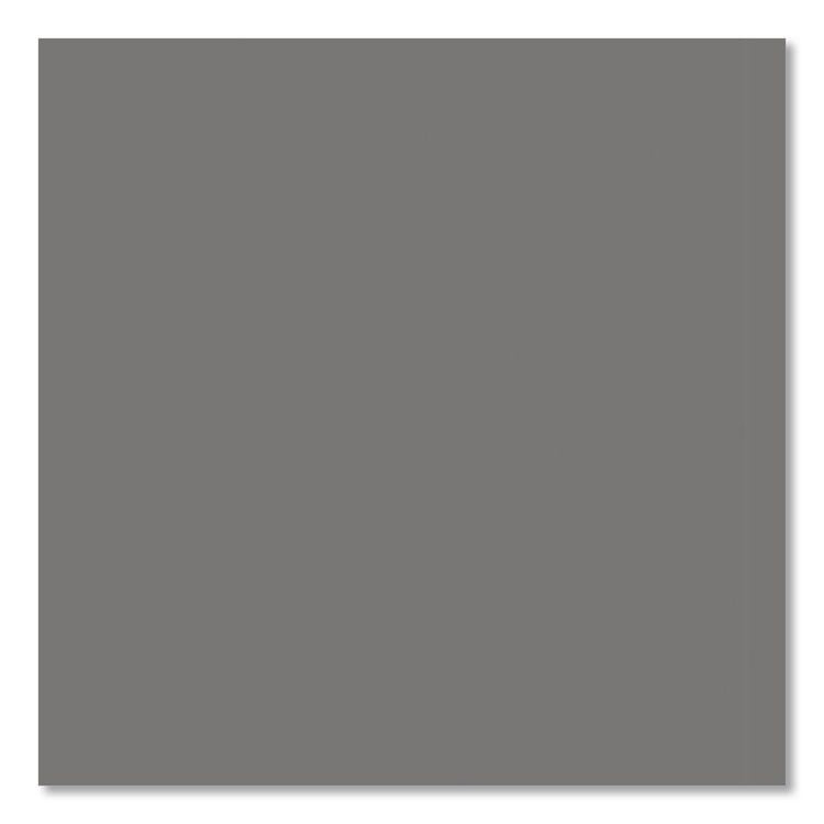 Professional Spray Paint, Flat Gray, 15 oz Aerosol Can, 6/Carton