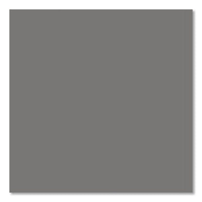 Professional Spray Paint, Flat Gray, 15 oz Aerosol Can, 6/Carton