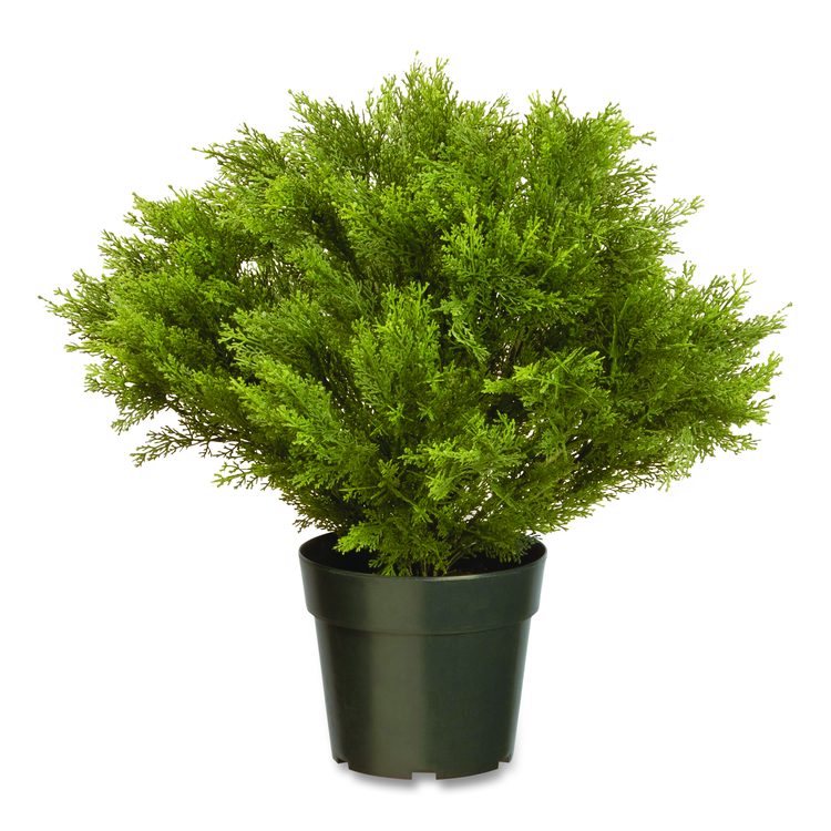 Globe Juniper Topiary Tree, 20" x 28" x 20", Green Tree, Green Pot