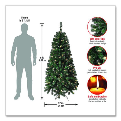 Pre-Lit Acacia Tree, 37" x 37" x 70.8", Green Tree, Green Tree Stand