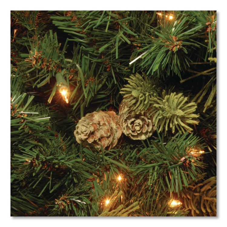 Pre-Lit Carolina Pine Tree, 55" x 55" x 78", Green Tree, Green Tree Stand