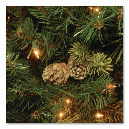 Pre-Lit Carolina Pine Tree, 55" x 55" x 78", Green Tree, Green Tree Stand