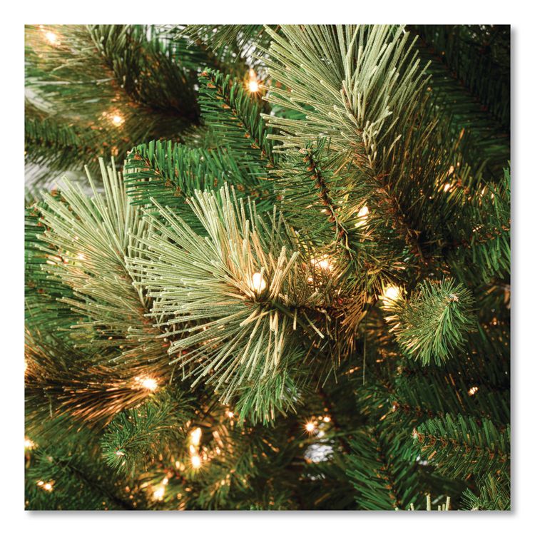 Pre-Lit Charleston Pine Slim Tree, 50" x 50" x 108", Green Tree, Green Tree Stand