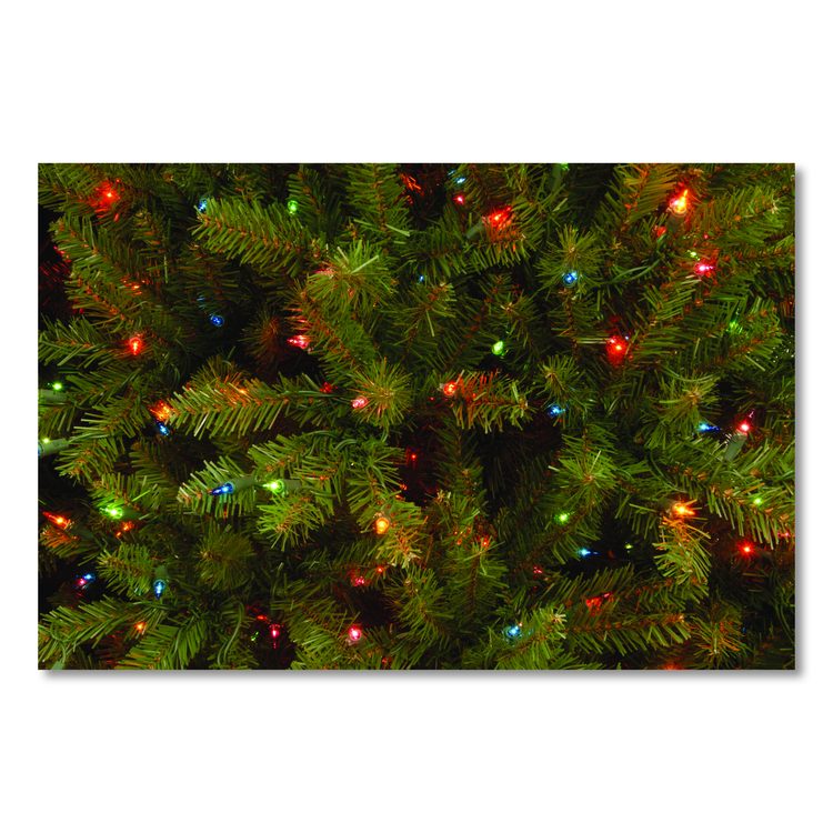 Pre-Lit Dunhill Fir Tree, 59" x 59" x 90", Green Tree, Green Tree Stand