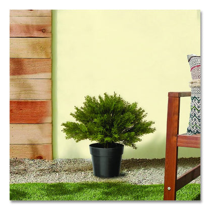 Artificial Globe Juniper, 15" x 15" x 15", Green Plant, Green Pot
