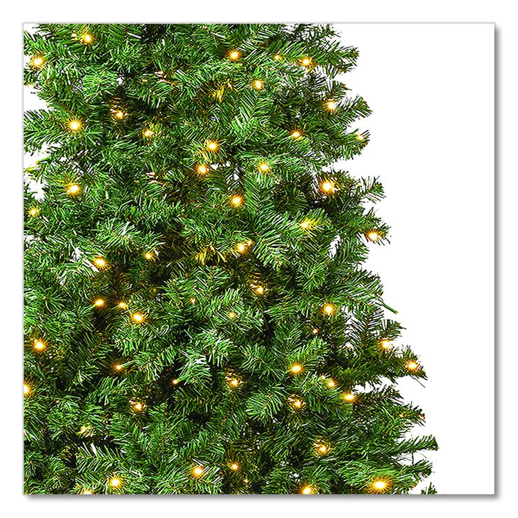 Pre-Lit Linden Spruce Slim Tree, 31" x 31" x 90", Green Tree, Green Tree Stand