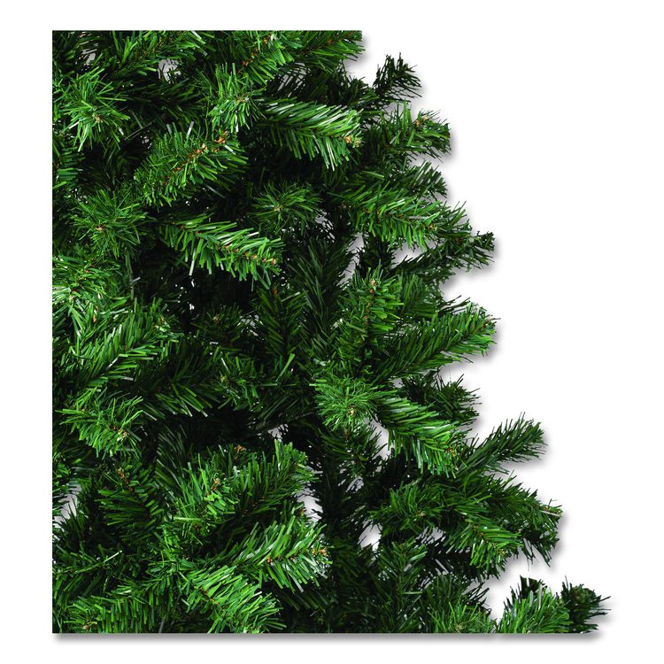 Linden Spruce Tree, 37" x 37" x 72", Green Tree, Green Tree Stand