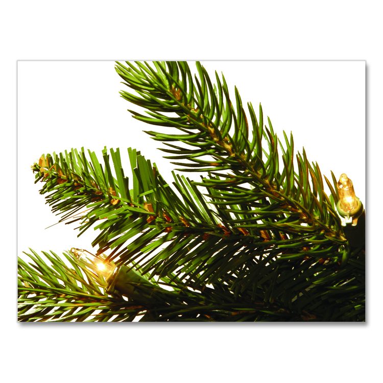 Pre-Lit Grande Fir Medium Tree, 50" x 50" x 90", Green Tree, Green Tree Stand