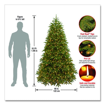 Pre-Lit Jersey Fraser Fir Medium Tree, 48" x 48" x 78", Green Tree, Green Tree Stand