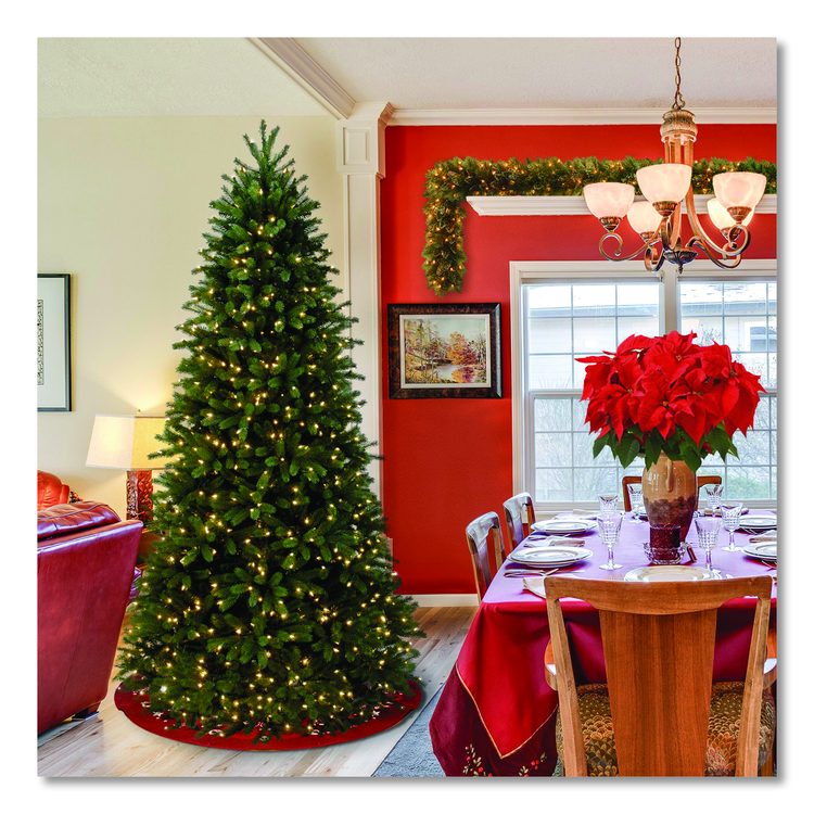 Pre-Lit Jersey Fraser Fir Slim Tree, 43" x 43" x 78", Green Tree, Green Tree Stand
