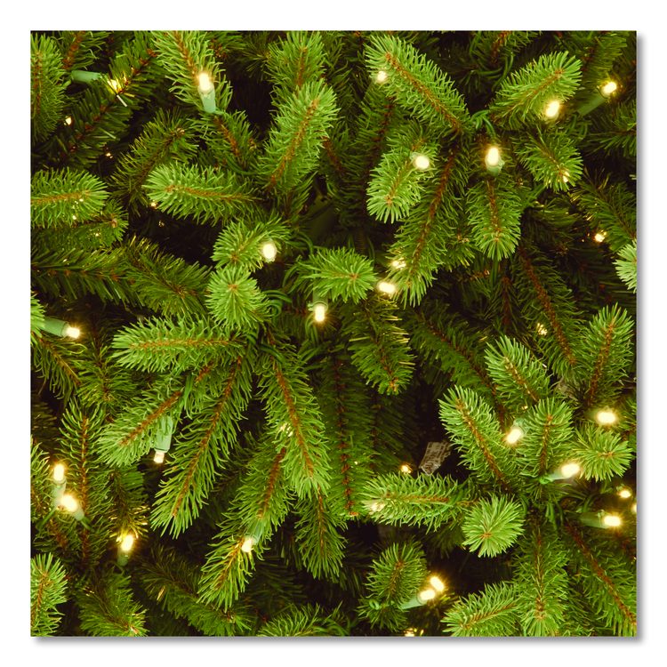 Pre-Lit Jersey Fraser Fir Slim Tree, 51" x 51" x 90", Green Tree, Green Tree Stand