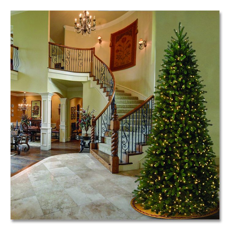 Pre-Lit Jersey Fraser Fir Slim Tree, 57" x 57" x 108", Green Tree, Green Tree Stand