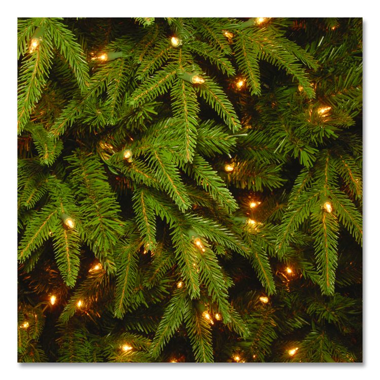 Pre-Lit Northern Fraser Tree, 57" x 57" x 90", Green Tree, Green Tree Stand