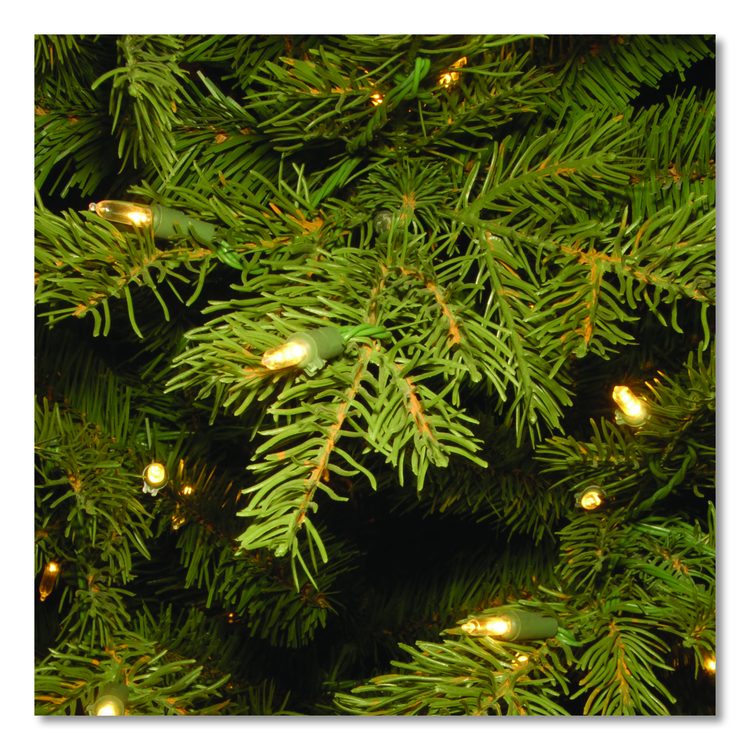 Pre-Lit Nordic Spruce Medium Tree, 60" x 60" x 90", Green Tree, Green Tree Stand