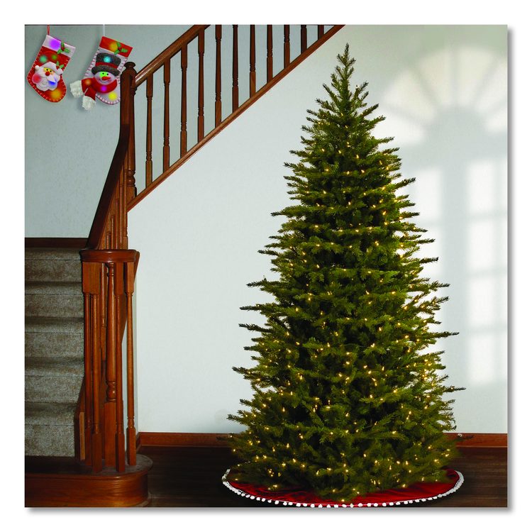 Pre-Lit Nordic Spruce Slim Tree, 44" x 44" x 78", Green Tree, Green Tree Stand