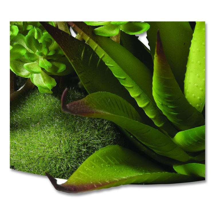 Spring Potted Plant, 8" x 8" x 8", Green Plant, White Pot