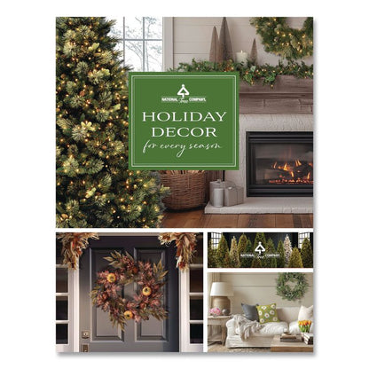 Champagne Angel Decoration, AC Powered, Warm White LED Lights, 18" x 33" x 60", Champagne