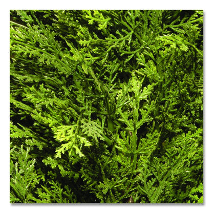 Artificial Arborvitae, 13" x 13" x 60", Green Tree, Green Pot