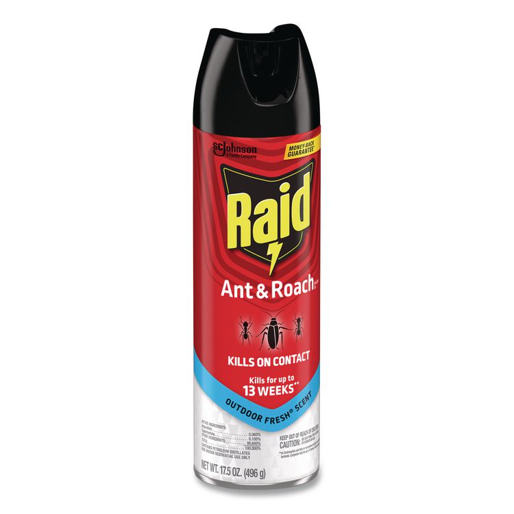 Ant and Roach Killer, 17.5 oz Aerosol Spray, Outdoor Fresh, 12/Carton