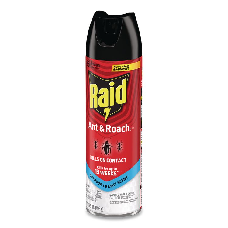Ant and Roach Killer, 17.5 oz Aerosol Spray, Outdoor Fresh, 12/Carton