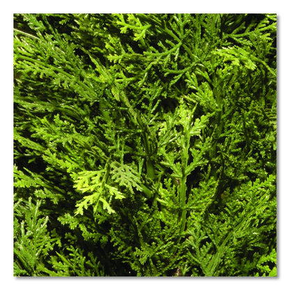 Cedar Topiary Tree, 13" x 13" x 53", Green Tree, Dark Green Pot