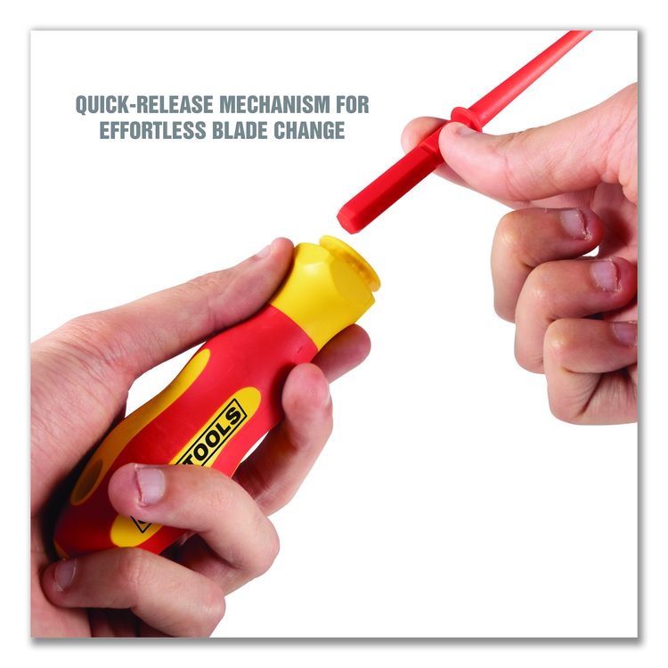 Insulated 10-Piece Interchangeable Bit Screwdriver Set, Metric Phillips and Slotted Blade Bits, Orange/Yellow Handle