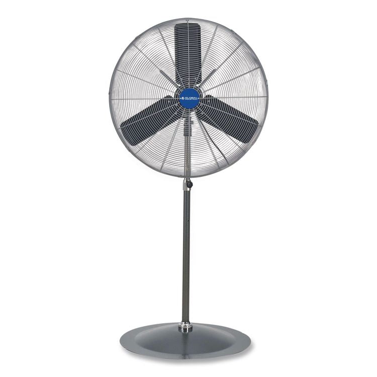 Oscillating Pedestal Fan, 30", 3 Speeds, Gray