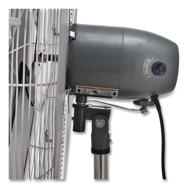Oscillating Pedestal Fan, 30", 3 Speeds, Gray