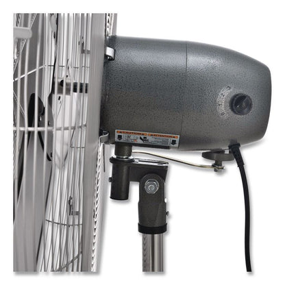 Oscillating Pedestal Fan, 30", 3 Speeds, Gray