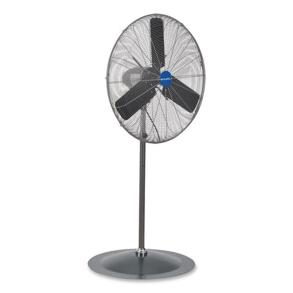Oscillating Pedestal Fan, 30", 3 Speeds, Gray