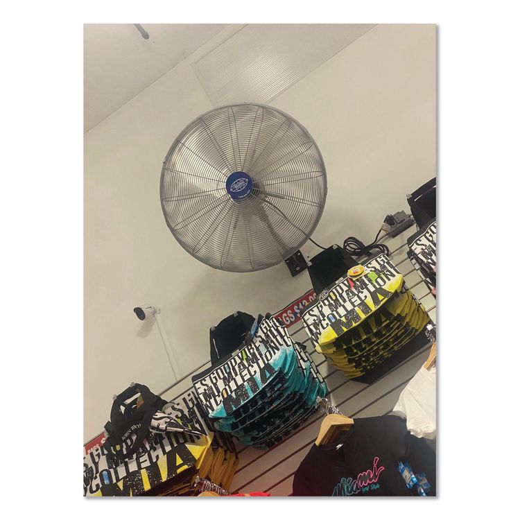 Washdown Wall Mount Fan, 30", 1 Speed, Silver