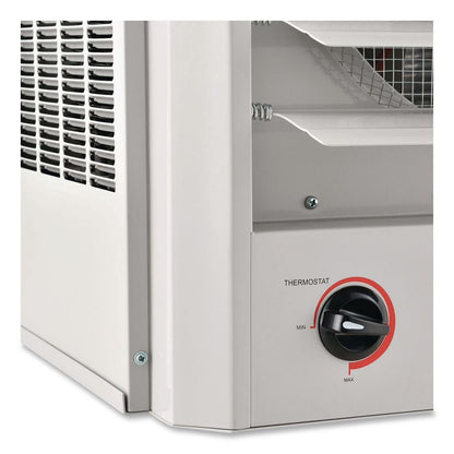 Unit Heater, Horizontal or Vertical Downflow, 20,000 W, 19 x 13.75 x 21.44, White