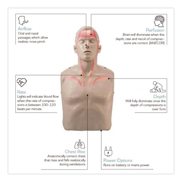 LED CPR Manikins with Trolley Bag and Four Manikins
