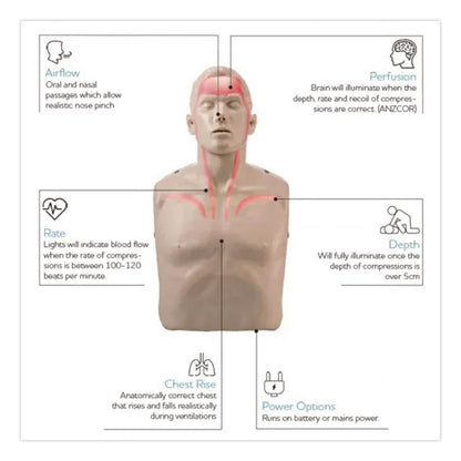 LED CPR Manikins with Trolley Bag and Four Manikins