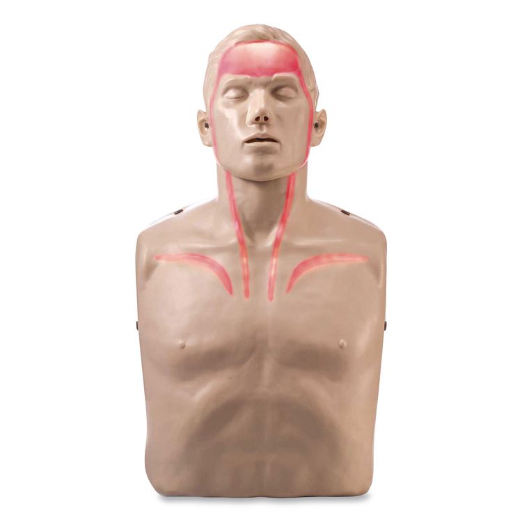 LED CPR Manikins with Trolley Bag and Four Manikins
