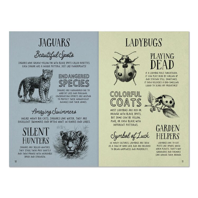 Animal Facts for Kids Softcover Book, Paperback, 112 Pages