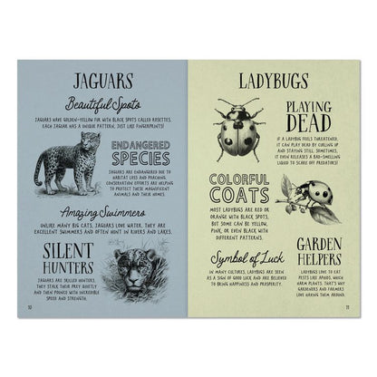 Animal Facts for Kids Softcover Book, Paperback, 112 Pages