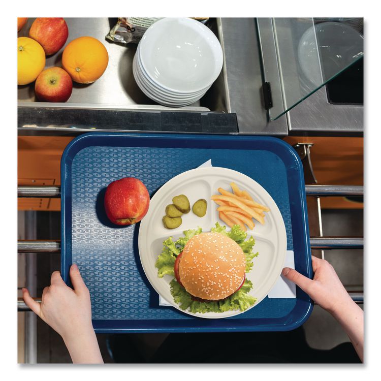 Compostable Molded Fiber Dinnerware, ProPlanet Seal, 3-Compartment Plate, 10.2" dia, Natural, 500/Carton