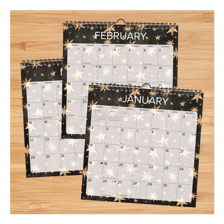 Starry Night 2026 Spiral Wall Calendar, Starry Night Artwork, 12 x 12, Multicolor Sheets, 12-Month (Jan to Dec)