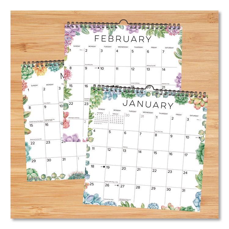 Succulents 2026 Spiral Wall Calendar, Succulents Artwork, 12 x 12, Multicolor Sheets, 12-Month (Jan to Dec): 2026