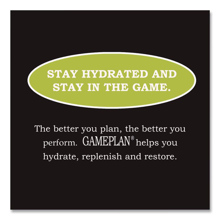 Gameplan Sports Drink, Lemon Lime, 20 oz Bottle, 24/Carton